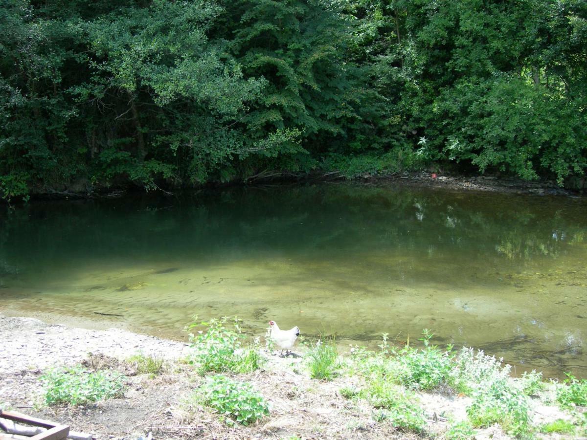 Appartement Les Rives De L'Ariege Luzenac Kültér fotó