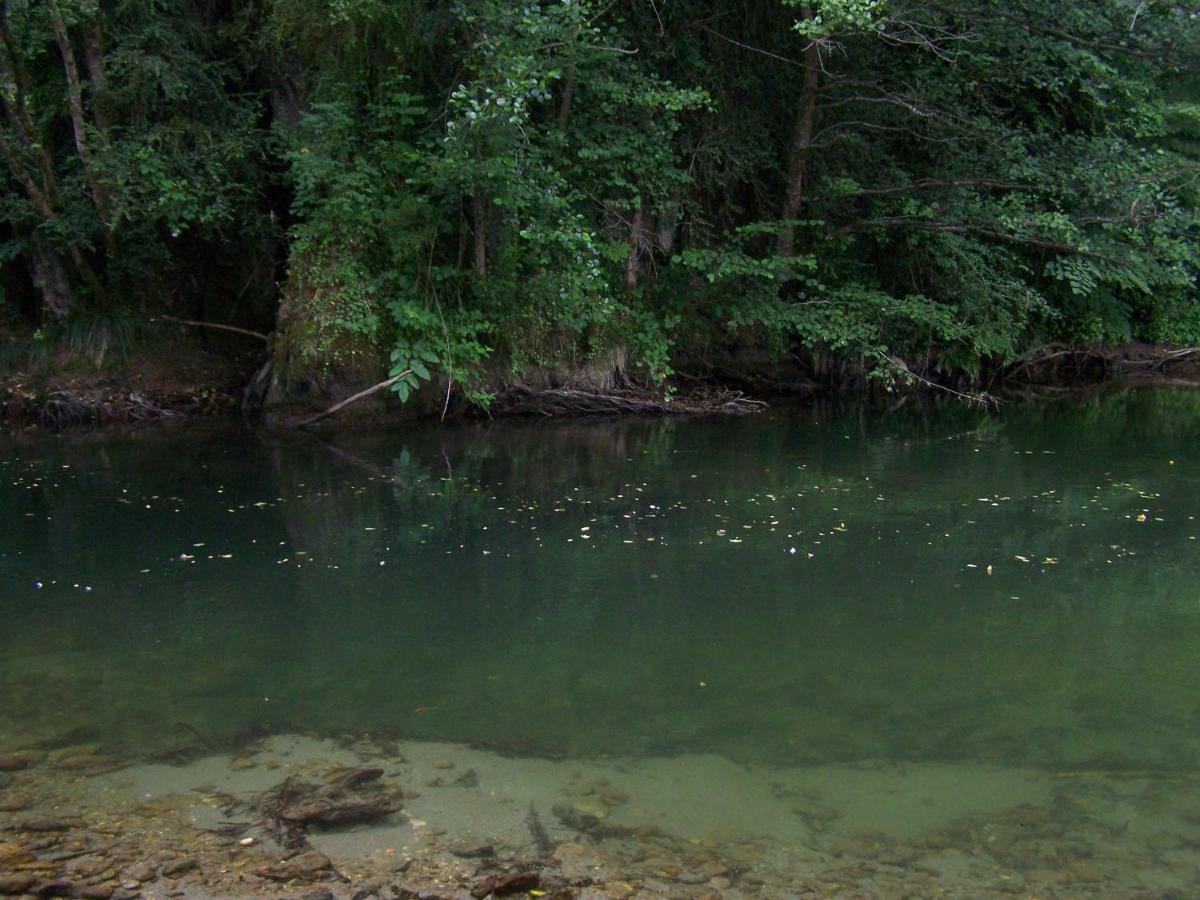 Appartement Les Rives De L'Ariege Luzenac Kültér fotó